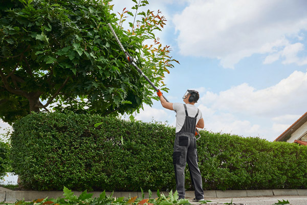 giardinaggio